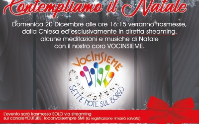 Contempliamo insieme il Natale